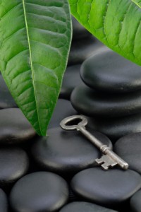 mindful meditation meditation resources