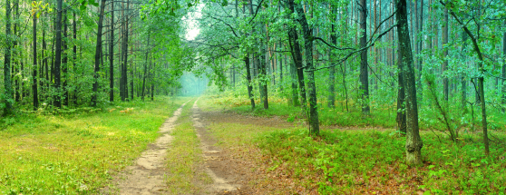 mindfulness blog mindful blog